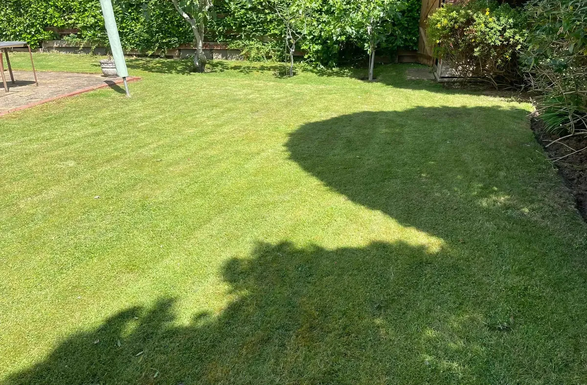 A domestic back lawn in Coventry freshly mown with stripes, with the border edge re-cut